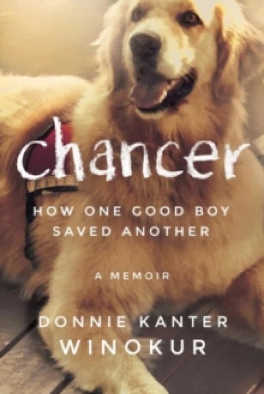 Chancer : How One Good Boy Saved Another Paperback / softback
