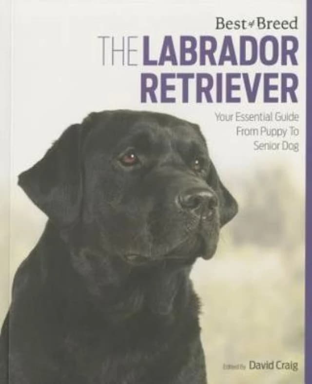 The Labrador by Barrister David Craig Paperback