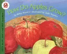 how do apples grow