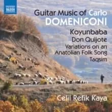 Carlo Domeniconi: Guitar Music
