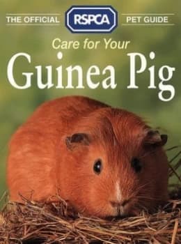 Care for Your Guinea Pig by Tina Hearne and Royal Society for the Prevention of Cruelty to Animals Paperback