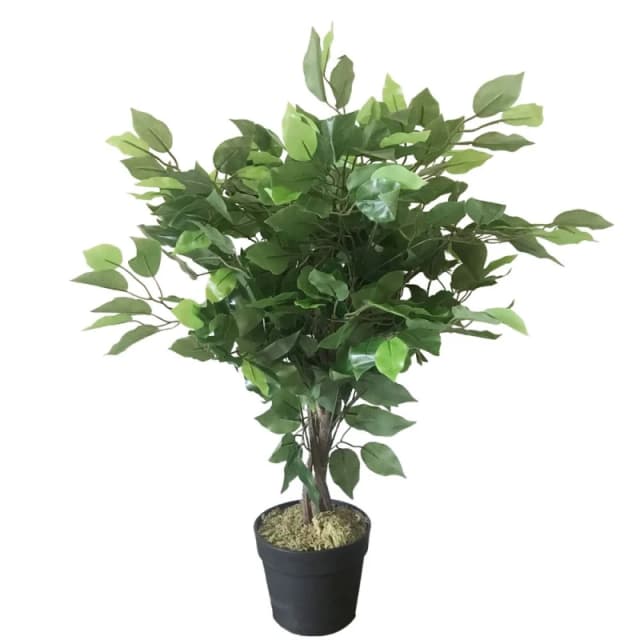 Leaf Premium 60cm Artificial Ficus Tree - Realistic Shape, Multiple Colors
