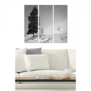 MDF1971050 Multicolor Decorative MDF Painting (3 Pieces)