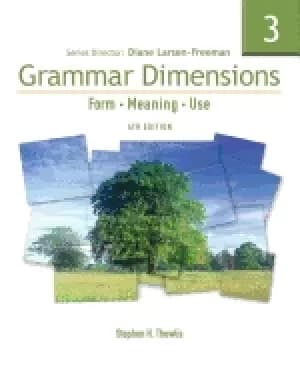 grammar dimensions 3 form meaning and use fourth edition