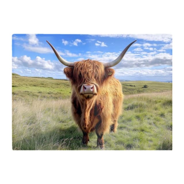 Warren Reed Designer Highland Cow In Summer Glass Chopping Board
