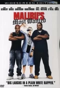Malibus Most Wanted - DVD - Used