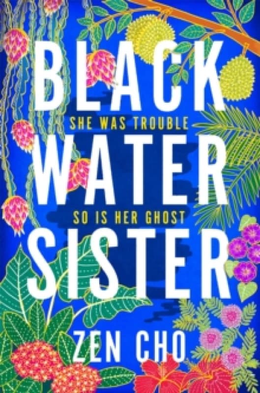 Black Water Sister Paperback / softback