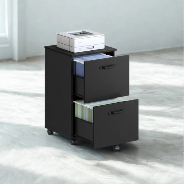Pirlo Plush 2 Drawer Portable Rolling Filing Cabinet Black Unisex