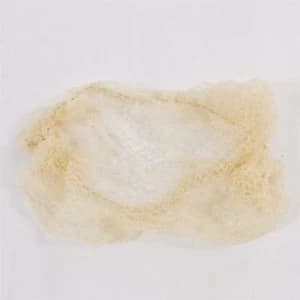 Equetech Show Hairnets - Beige