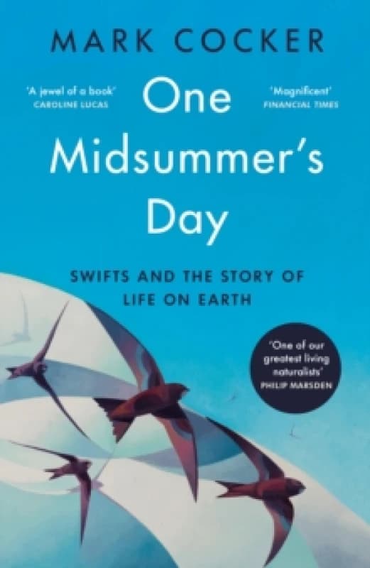 One Midsummer's Day : Swifts and the Story of Life on Earth Paperback / softback