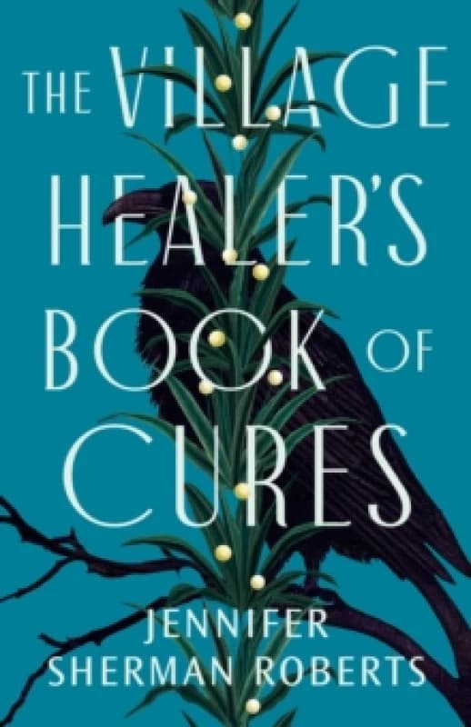 The Village Healer's Book of Cures Paperback / softback