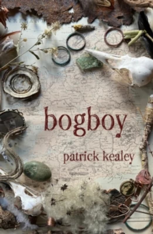 Bogboy Paperback