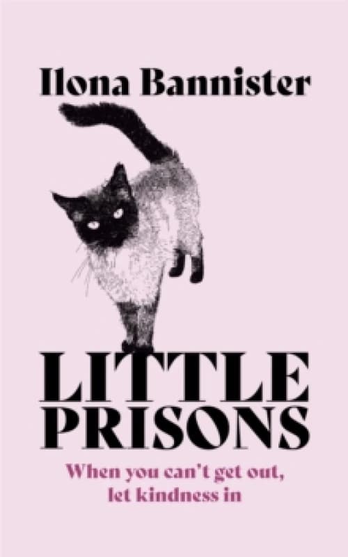 Little Prisons Paperback / softback