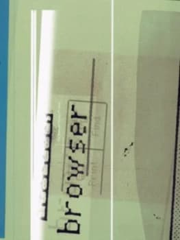 Browser by Liz Faber and Lewis Blackwell Paperback