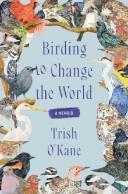 Birding to Change the World. Paperback. By Trish OKane Books
