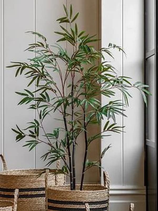 Crossland Grove Potted Bamboo Tree 4ft, Green 5056693592884