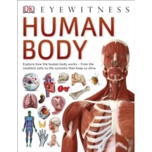 Human Body (Eyewitness) Paperback