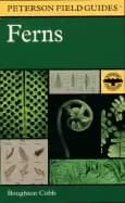 field guide to ferns and their related families northeastern and central no