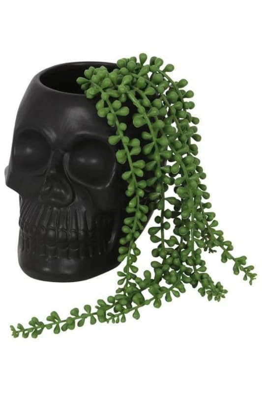 Something Different Black Skull Plant Pot Black One Size