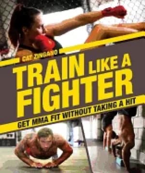 train like a fighter get mma fit without taking a hit
