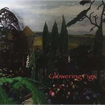 Glowering Figs - Glowering Figs CD