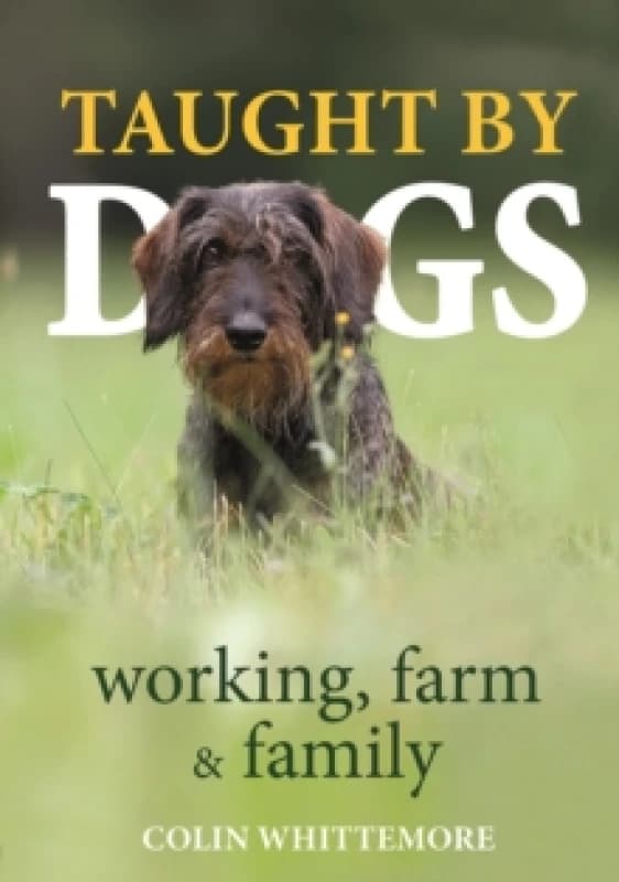 Taught by Dogs : working, farm and family Hardback