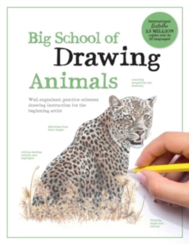 Big School of Drawing Animals. Paperback Books
