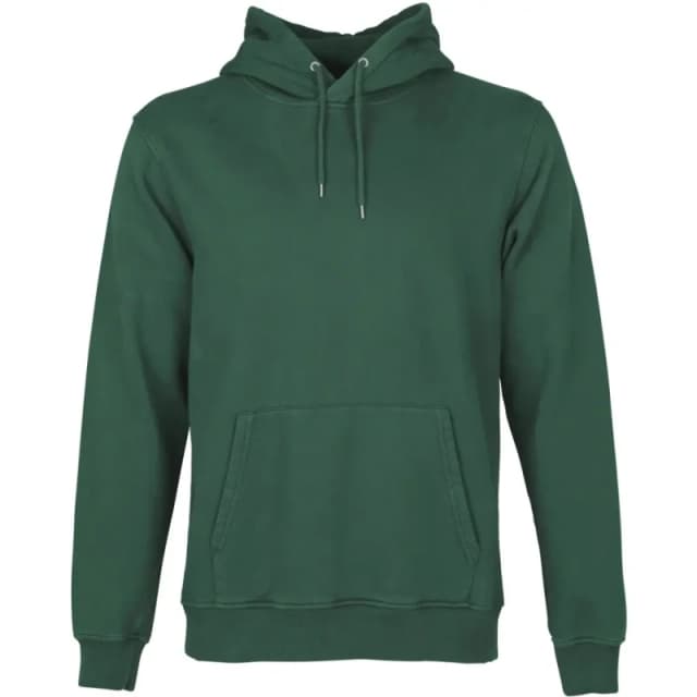 Colorful Standard Hoodie Colorful Standard Classic Organic emerald green Vert Unisex L