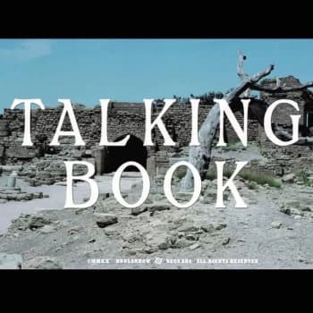 Talking Book - Talking Book II Vinyl