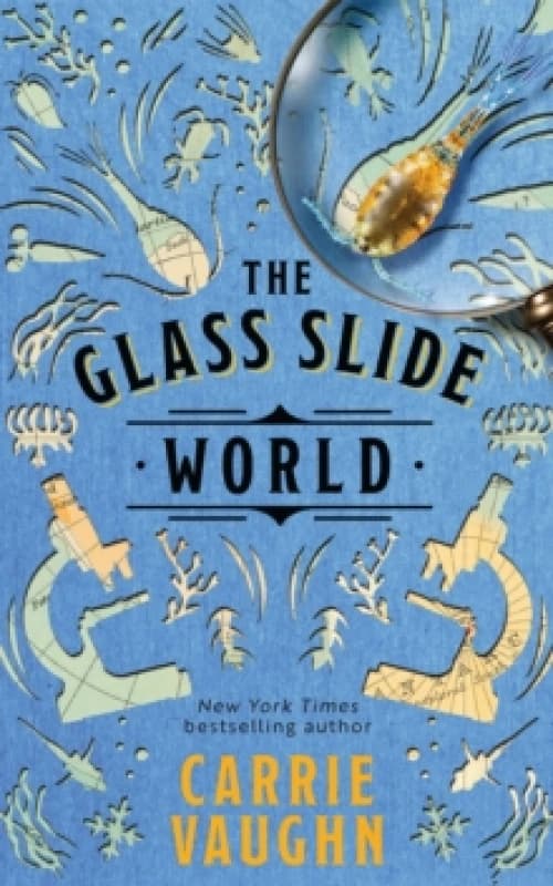 The Glass Slide World Paperback / softback