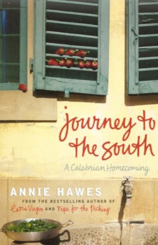 Journey to the South by Annie Hawes Paperback