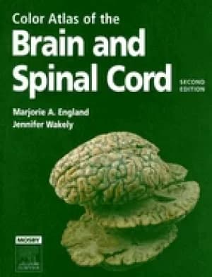 color atlas of the brain and spinal cord an introduction to normal neuroana