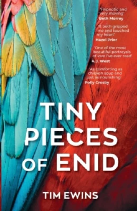 Tiny Pieces of Enid Paperback / softback