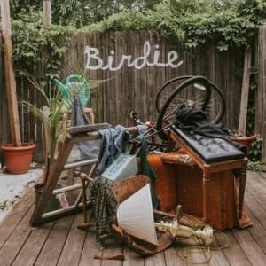 Birdie by Slaughter Beach, Dog CD Album