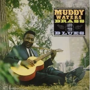 Muddy Waters - Muddy Brass & The Blues Vinyl