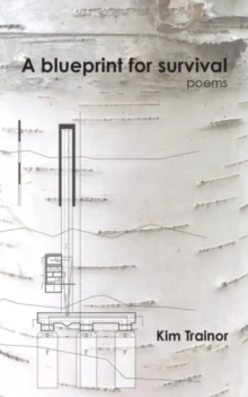 A Blueprint For Survival Paperback / softback