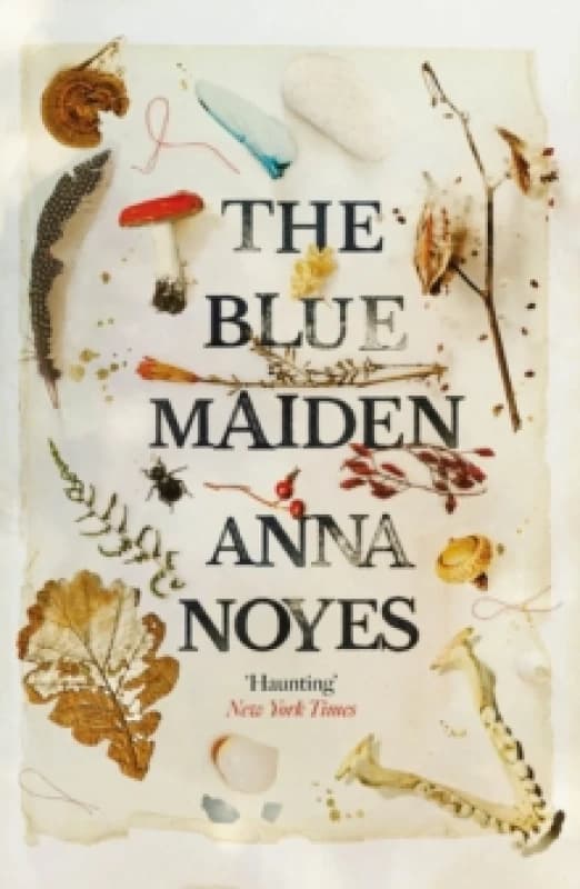 The Blue Maiden : A dazzling feminist gothic about witches, loss and resilience Paperback / softback