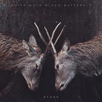 White Moth Black Butterfly - Atone Vinyl