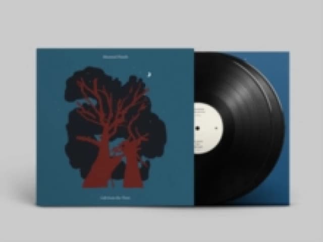 Gift from the Trees Vinyl