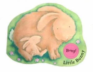 Little Bunny by Rebecca Harry Book