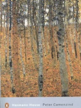 Peter Camenzind by Hermann Hesse Paperback