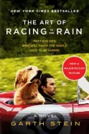 art of racing in the rain tie in a novel