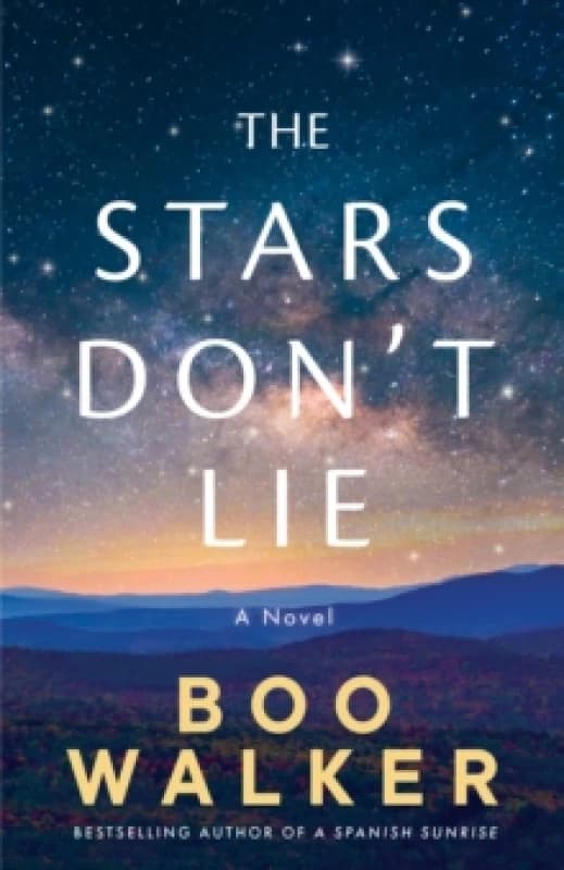 The Stars Don't Lie : A Novel Paperback / softback