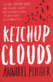 Ketchup Clouds by Annabel Pitcher Paperback