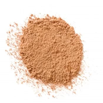 Elizabeth Arden High Performance Blurring Loose Powder Medium Deep Women