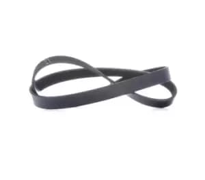 INA V-ribbed belt FB 6PK1070 Serpentine belt,Auxiliary belt VW,AUDI,BMW,Golf V Schragheck (1K1),Passat Variant (3C5),GOLF VI (5K1)