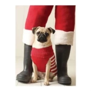 Pug Elf Holiday Half Notecard