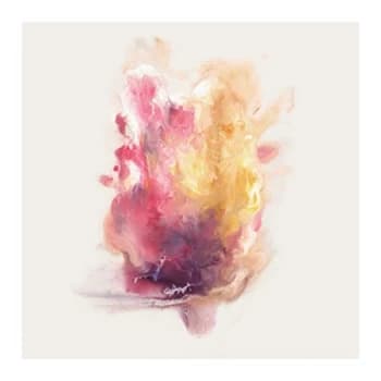 BIGIBRAVE - A Gaze Among Them CD