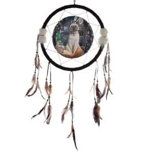 Lisa Parker Hocus Pocus 33cm Dreamcatcher