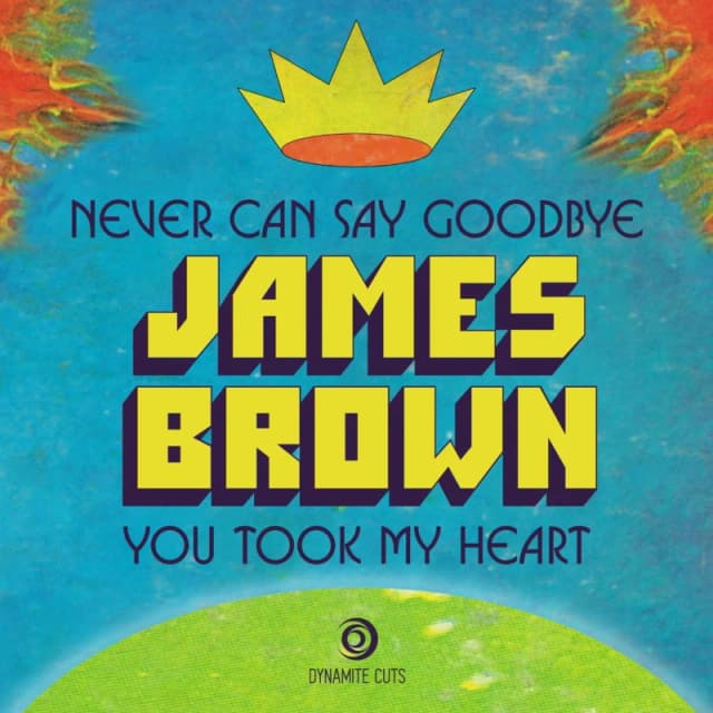 James Brown Never Can Say Goodbye / You Took My Heart 7" Single Black unisex